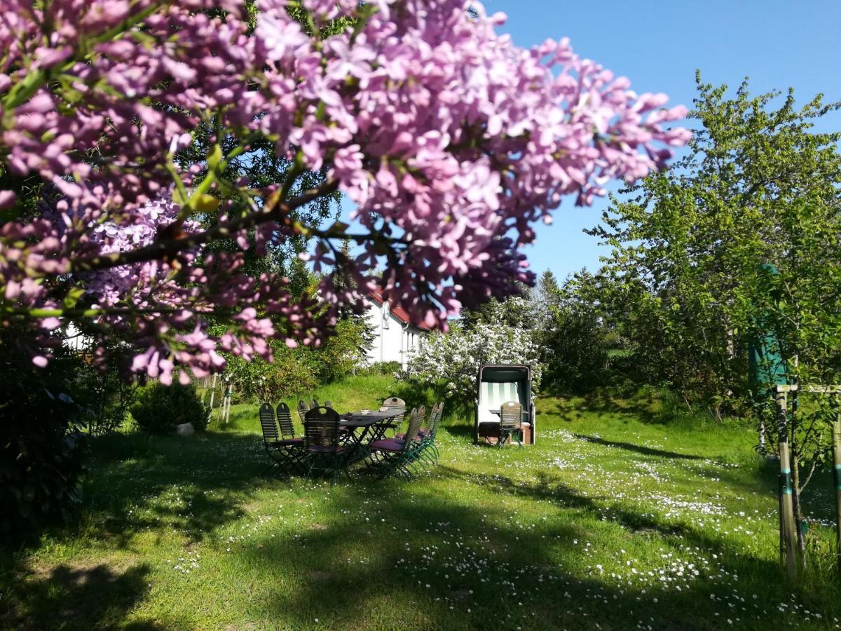 Wirtshaus Neuenkirchen Hotel Neuenkirchen auf Rugen Екстериор снимка